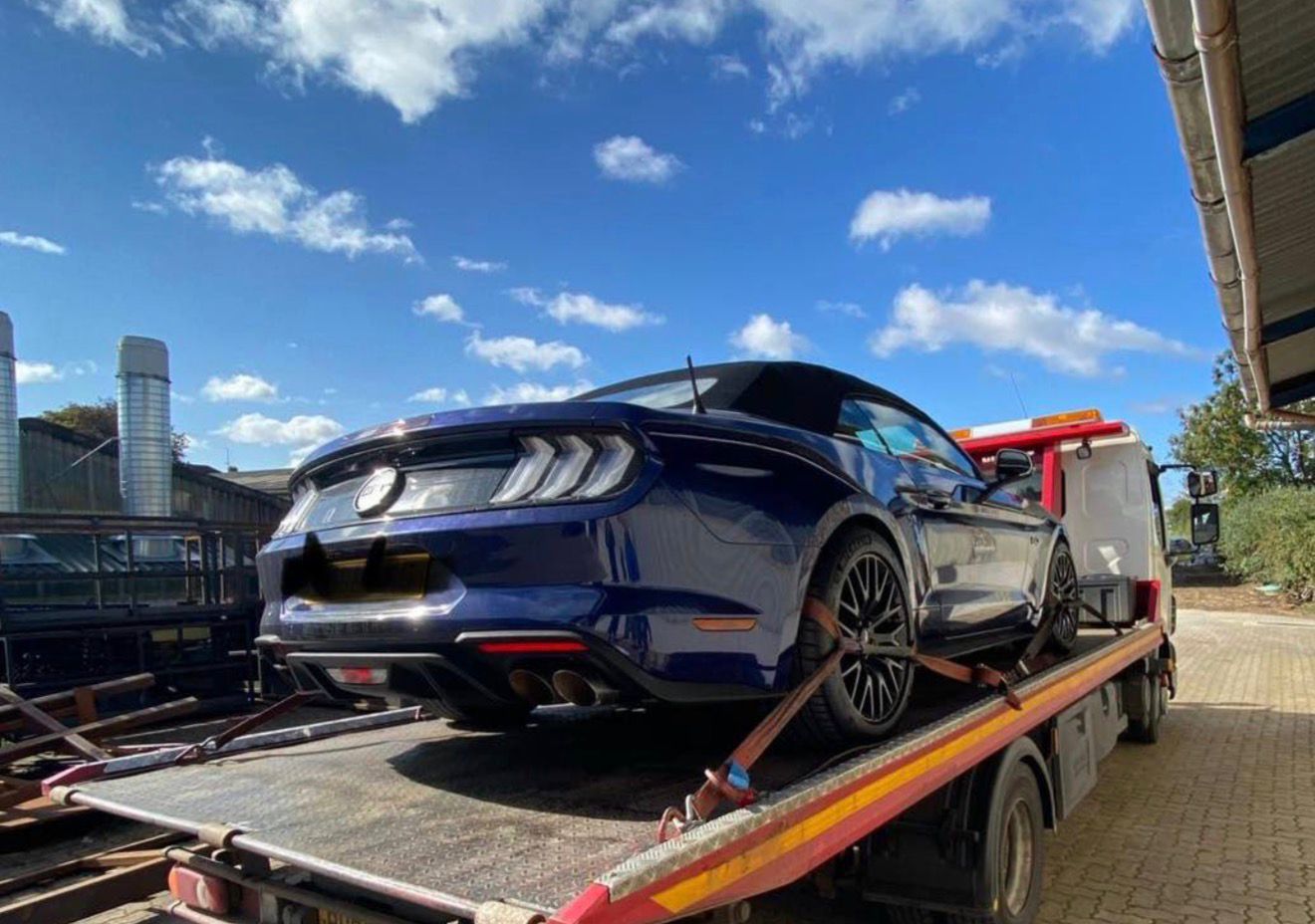 WhatsApp Image 2025-11-11 at 18.29.28_65d8a869