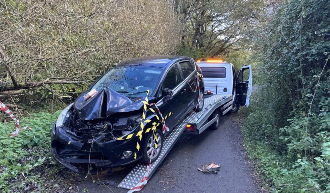 WhatsApp Image 2025-11-11 at 18.39.12_a429cea9